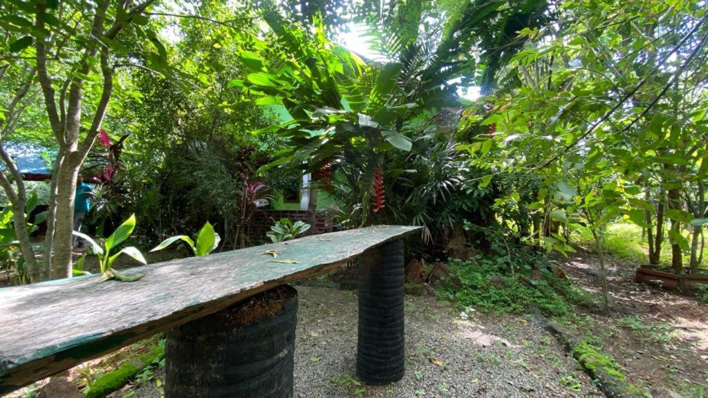 Forest Villa Nature Resort Anuradhapura Exterior foto